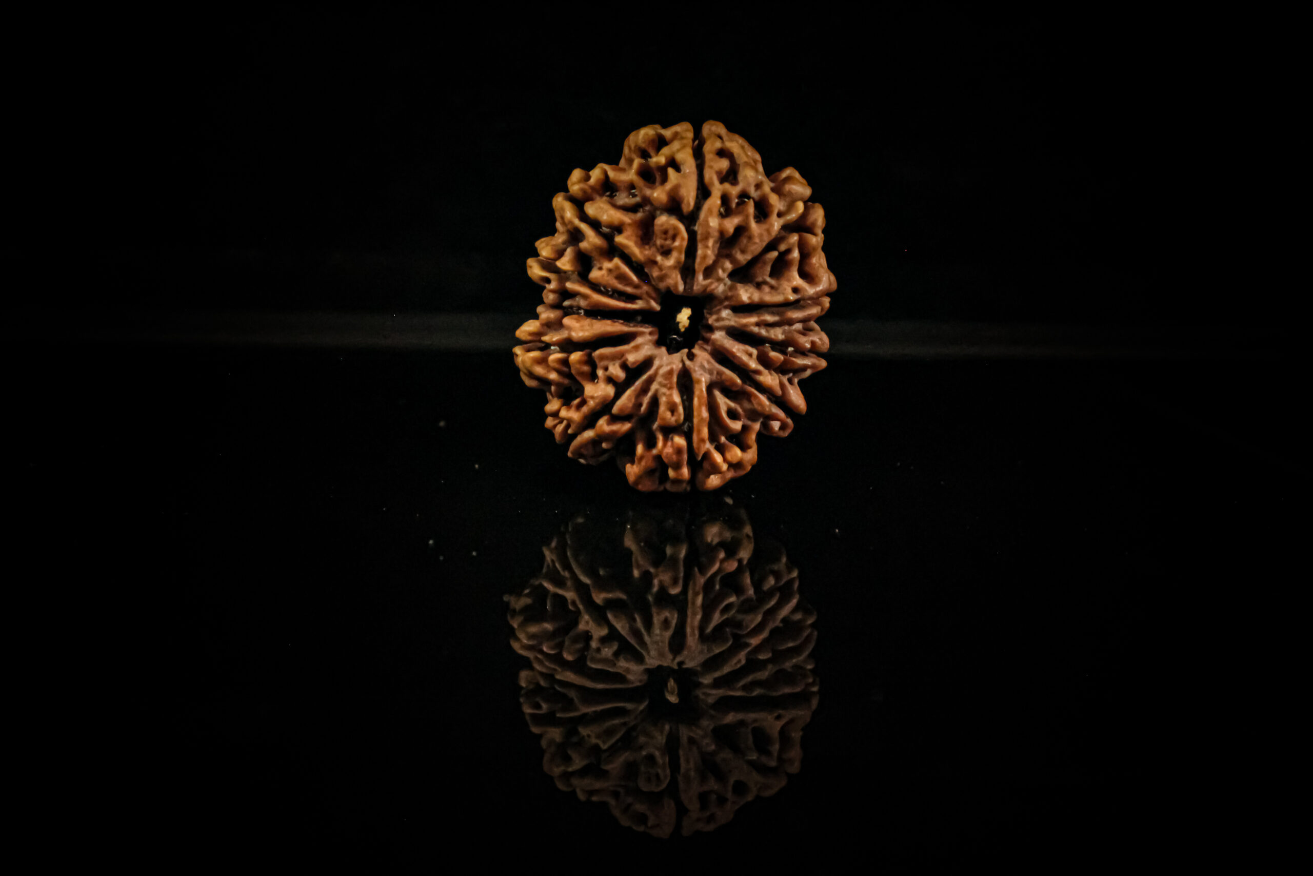 What is Rudraksha, its Benefits, and How to Wear