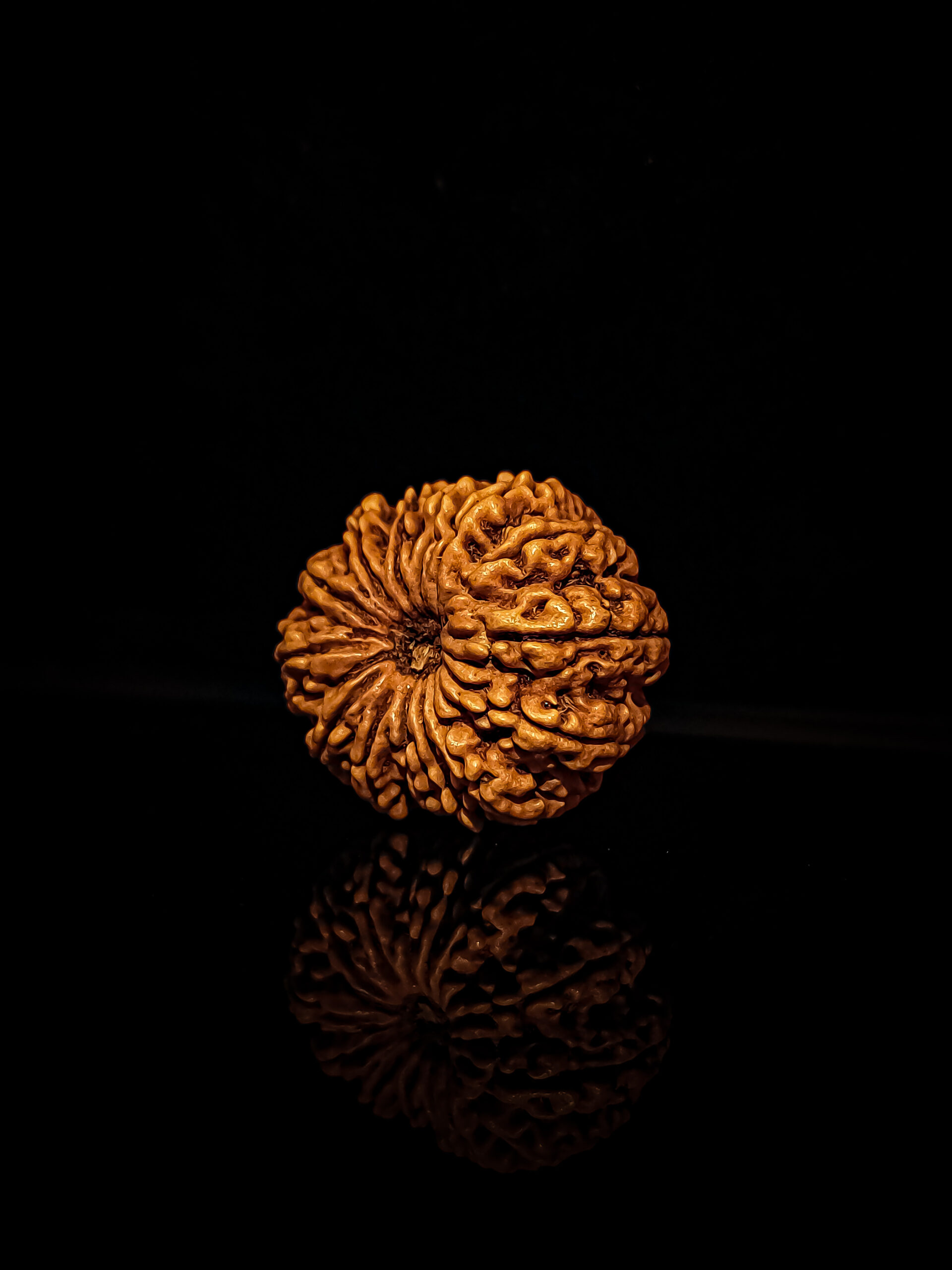 Thirteen Mukhi (13 faces) Rudraksha: Importance, Benefits, Significance & Procedure to Wear