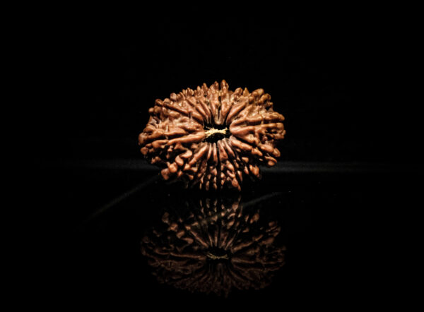 16 mukhi nepali(1)