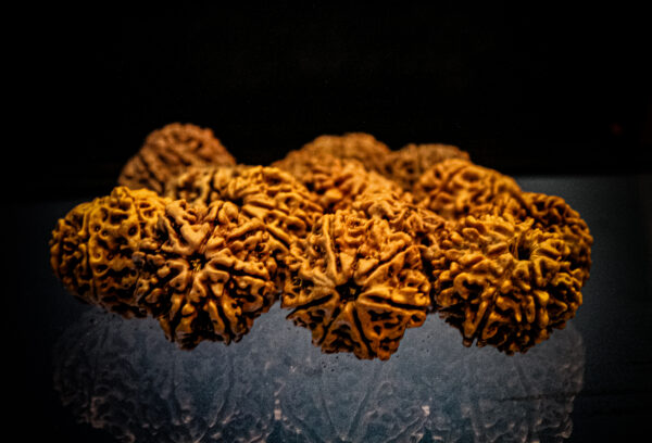 8 mukhi nepali