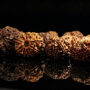 9 Mukhi Rudraksha