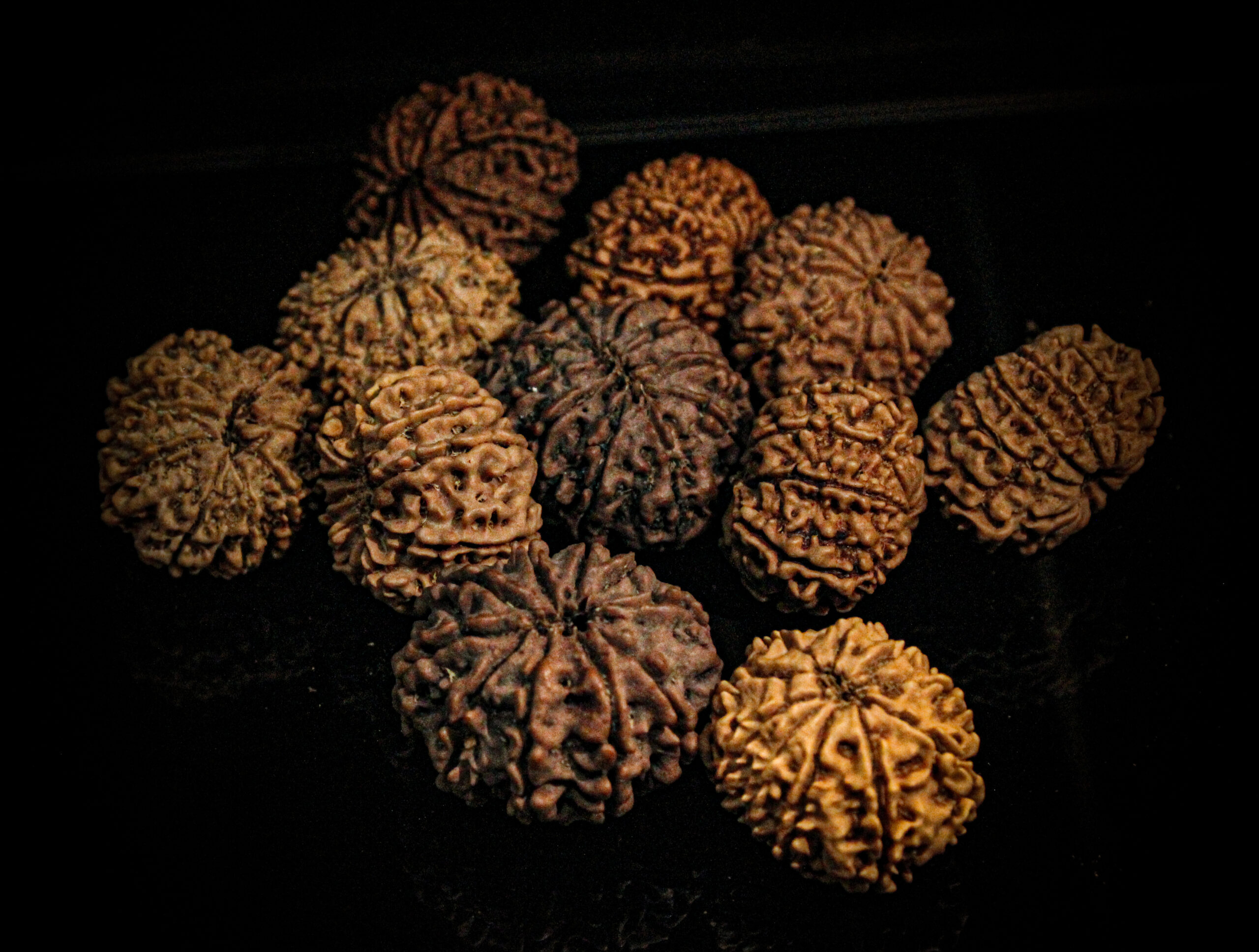 Health and Wealth Benefits of rudrasha